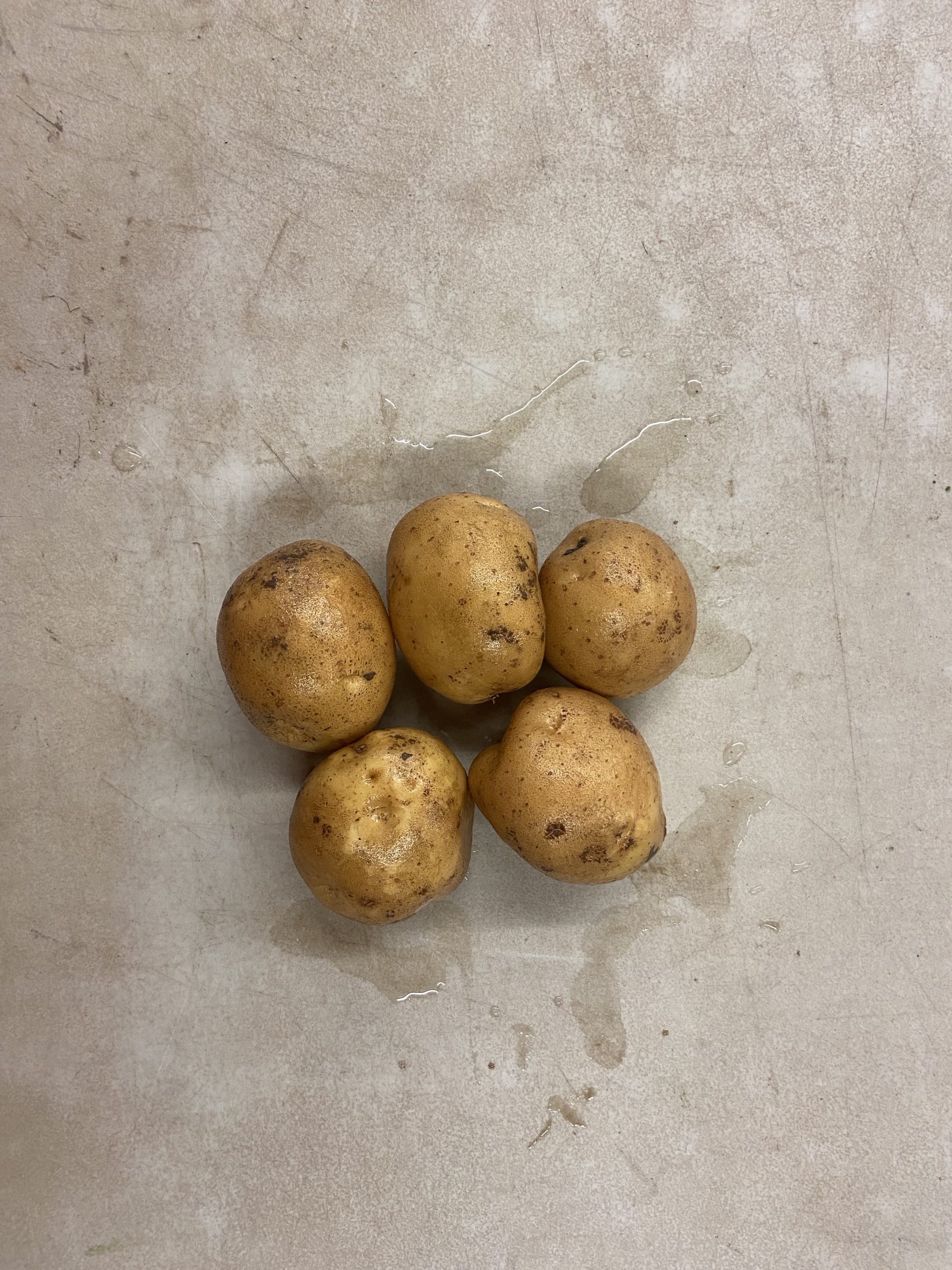 qJzGfmM1R%+EYlLG24jqzA