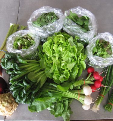 Vegetable Orders